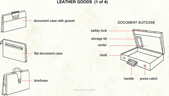 Leather goods  (Visual Dictionary)